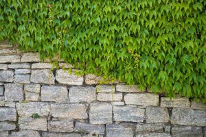 Muret de soutènement : maçonnerie et drainage