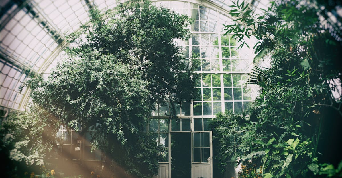 découvrez notre guide complet sur les conservatoires : design, types, avantage et conseils pour créer l'espace idéal pour vos plantes et votre confort, tout en ajoutant une touche d'élégance à votre maison.