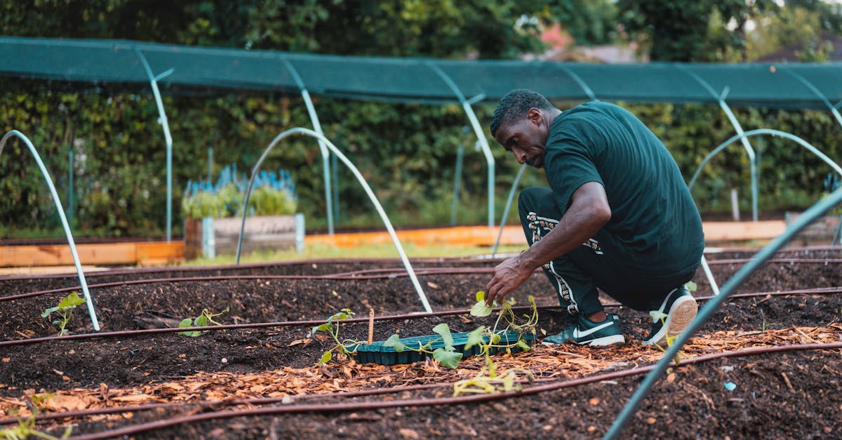 découvrez nos services professionnels d'entretien de jardin pour maintenir votre espace extérieur en pleine forme. profitez d'un jardin magnifique et bien entretenu tout au long de l'année grâce à notre expertise et nos conseils personnalisés.