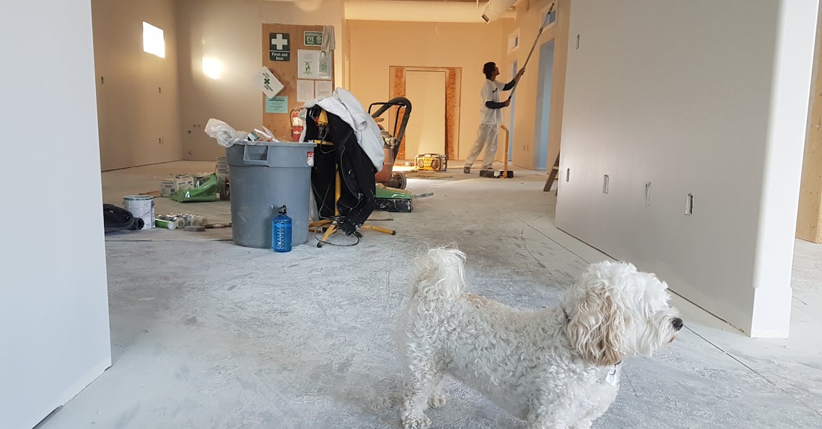 découvrez nos services d'intérieur rénovation pour transformer votre espace de vie. que ce soit pour moderniser votre cuisine, rénover votre salle de bain ou repenser votre salon, notre équipe d'experts vous accompagne dans chaque étape du processus. donnez vie à vos idées et améliorez le confort de votre habitation grâce à nos solutions sur mesure.
