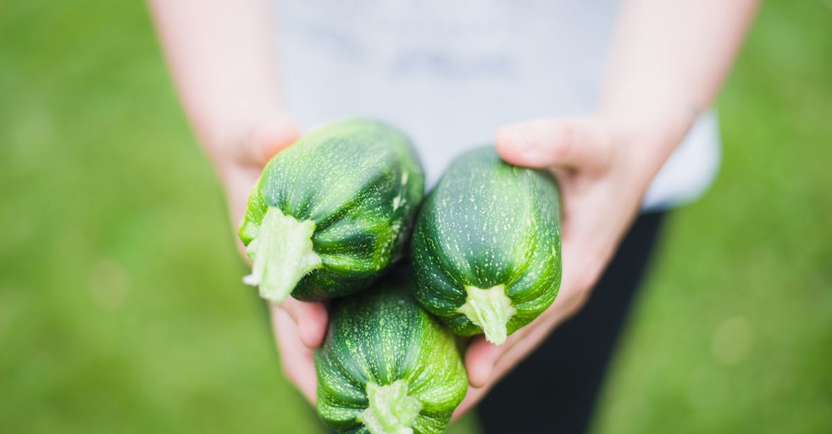 découvrez les secrets d'un jardin potager prospère ! apprenez à cultiver vos légumes préférés avec des conseils pratiques, des astuces de jardinage et des recommandations sur les meilleures variétés à planter. transformez votre espace extérieur en un havre de fraîcheur et de saveurs!